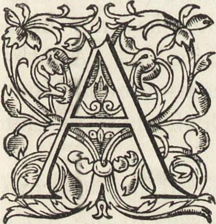 An illustration from A descriptive catalogue of early prints in the British museum German and Flemish schools, 1879, leaf 20