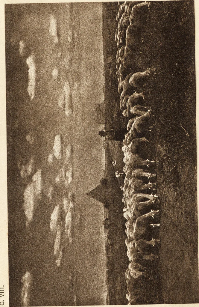 An illustration from Art in photography : with selected examples of European and American work, 1905, leaf 216