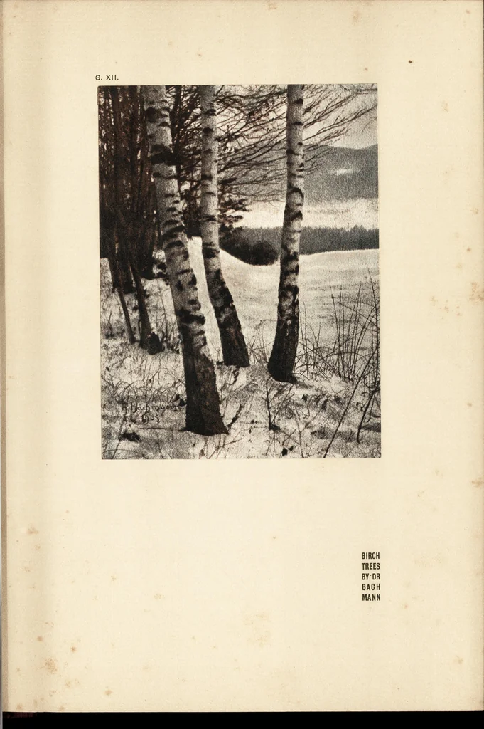 An illustration from Art in photography : with selected examples of European and American work, 1905, leaf 224