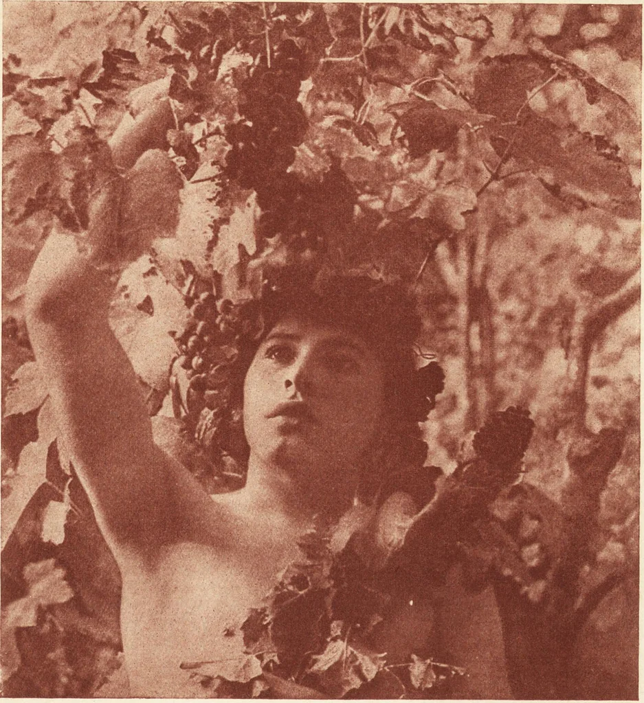 An illustration from Art in photography : with selected examples of European and American work, 1905, leaf 234