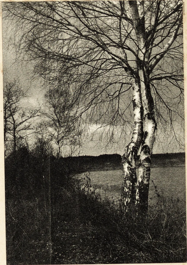 An illustration from Art in photography : with selected examples of European and American work, 1905, leaf 266