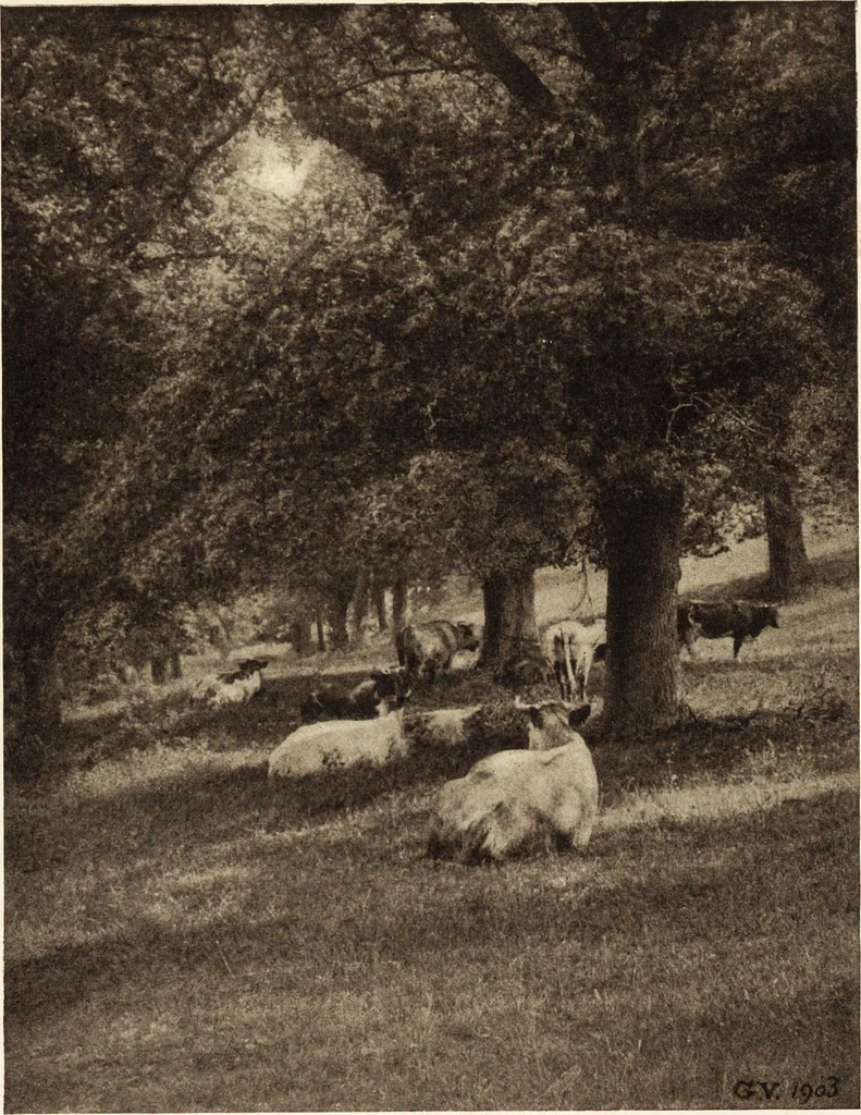 An illustration from Art in photography : with selected examples of European and American work, 1905, leaf 66
