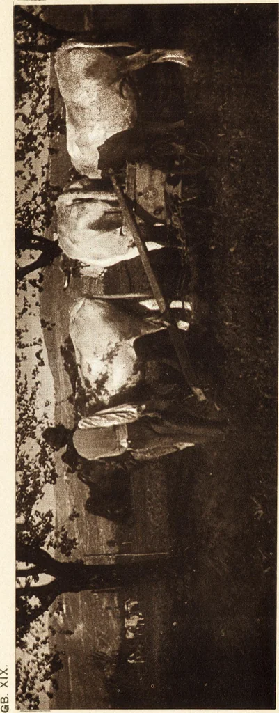 An illustration from Art in photography : with selected examples of European and American work, 1905, leaf 68
