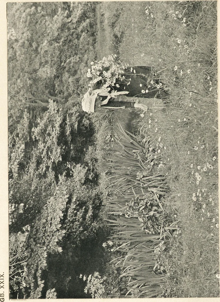 An illustration from Art in photography : with selected examples of European and American work, 1905, leaf 86
