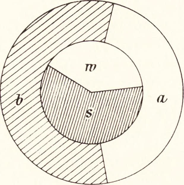 An illustration from Three-colour photography : three-colour printing and the production of photographic pigment pictures in natural colours, 1904, leaf 53