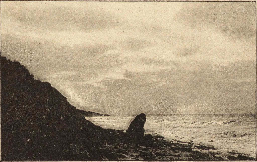 An illustration from L'art en photographie : avec le procédé au gélatino-bromure d'argent, 1896, leaf 12