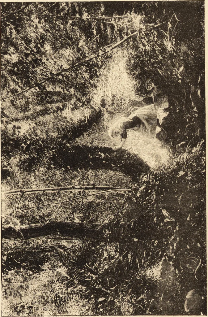 An illustration from L'art en photographie : avec le procédé au gélatino-bromure d'argent, 1896, leaf 132
