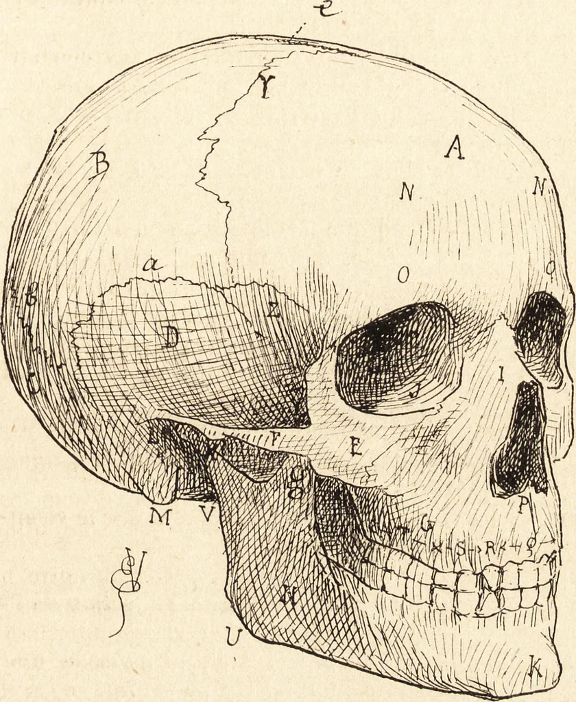 An illustration from L'art en photographie : avec le procédé au gélatino-bromure d'argent, 1896, leaf 180