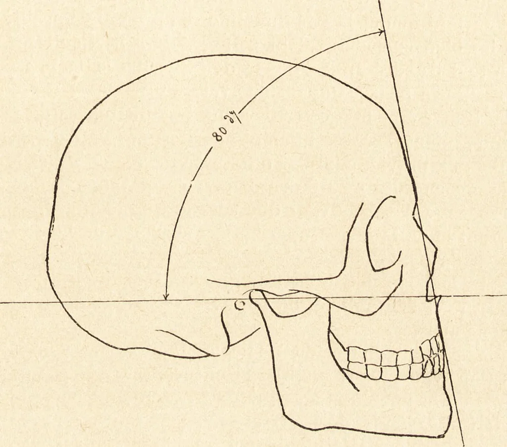 An illustration from L'art en photographie : avec le procédé au gélatino-bromure d'argent, 1896, leaf 184