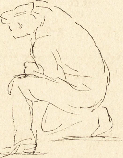 An illustration from L'art en photographie : avec le procédé au gélatino-bromure d'argent, 1896, leaf 267