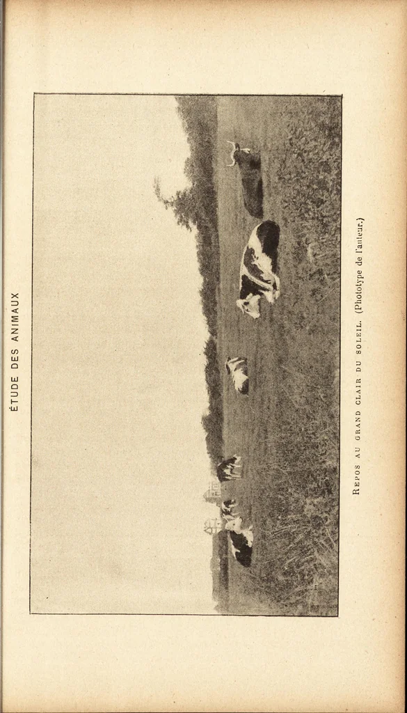 An illustration from L'art en photographie : avec le procédé au gélatino-bromure d'argent, 1896, leaf 284