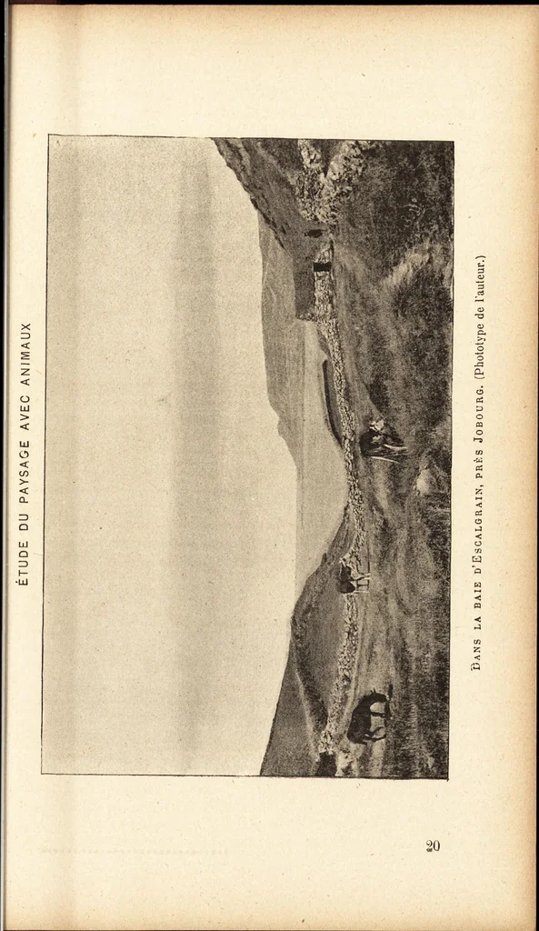 An illustration from L'art en photographie : avec le procédé au gélatino-bromure d'argent, 1896, leaf 312