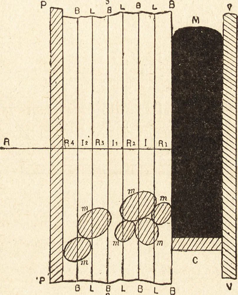 An illustration from L'art en photographie : avec le procédé au gélatino-bromure d'argent, 1896, leaf 382
