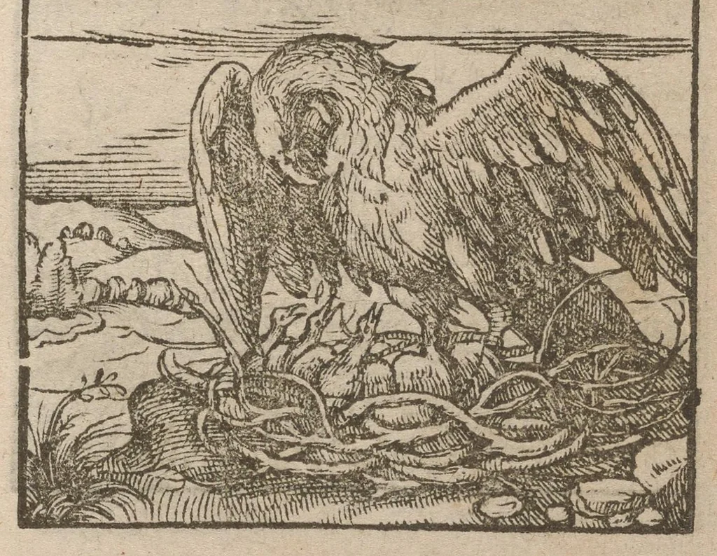 An illustration from Hadriani Iunii medici Emblemata : eiusdem ænigmatum libellus, 1585, leaf 26
