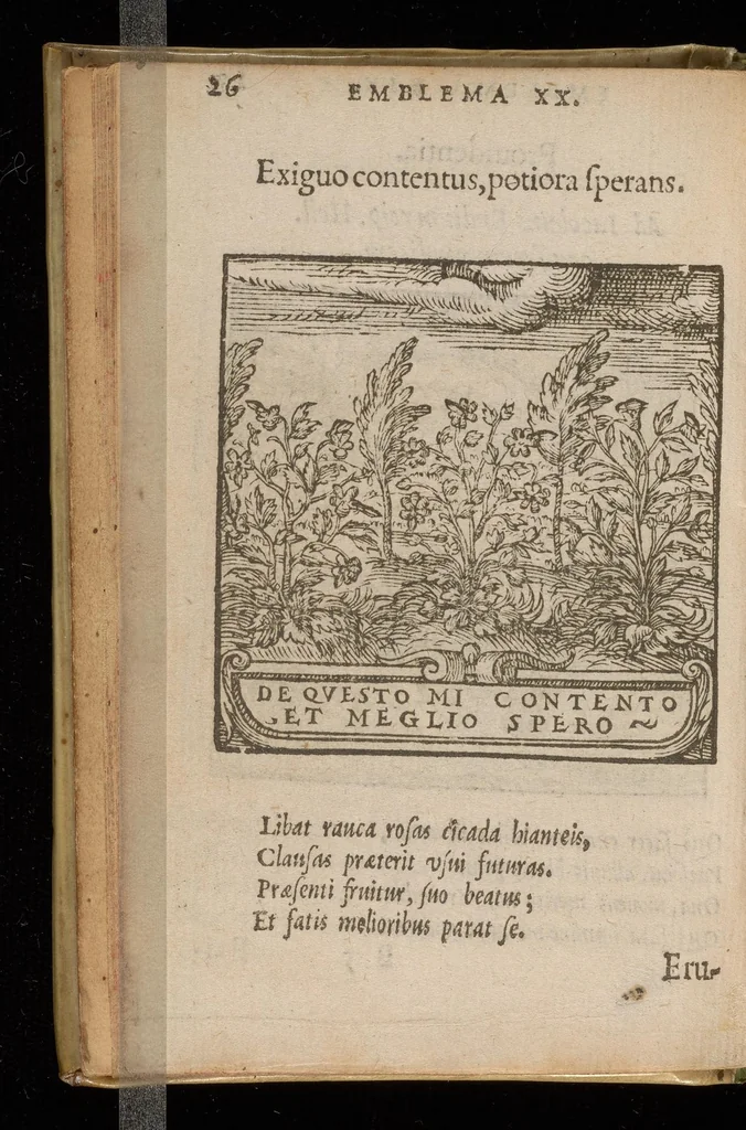 An illustration from Hadriani Iunii medici Emblemata : eiusdem ænigmatum libellus, 1585, leaf 37