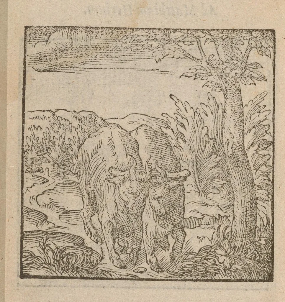 An illustration from Hadriani Iunii medici Emblemata : eiusdem ænigmatum libellus, 1585, leaf 47