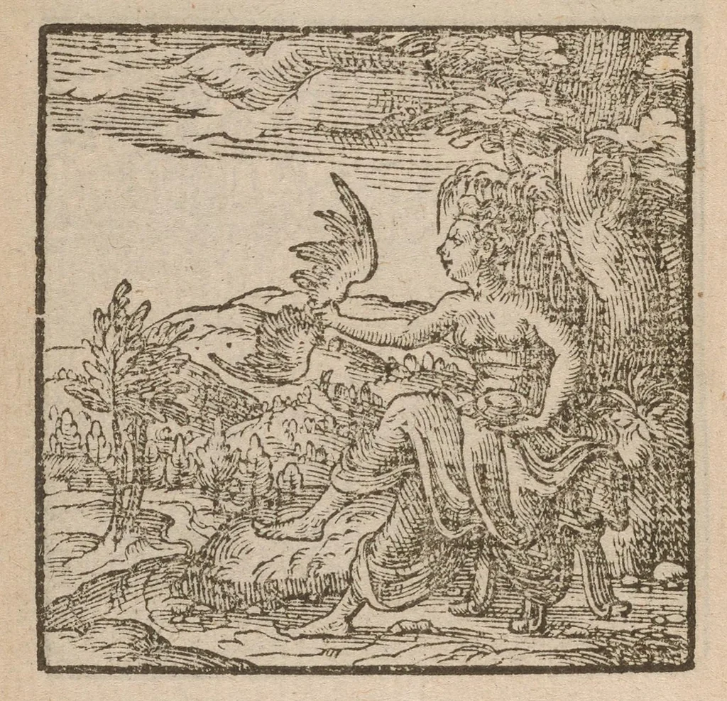 An illustration from Hadriani Iunii medici Emblemata : eiusdem ænigmatum libellus, 1585, leaf 49