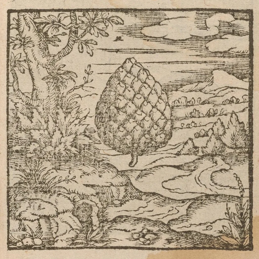 An illustration from Hadriani Iunii medici Emblemata : eiusdem ænigmatum libellus, 1585, leaf 54