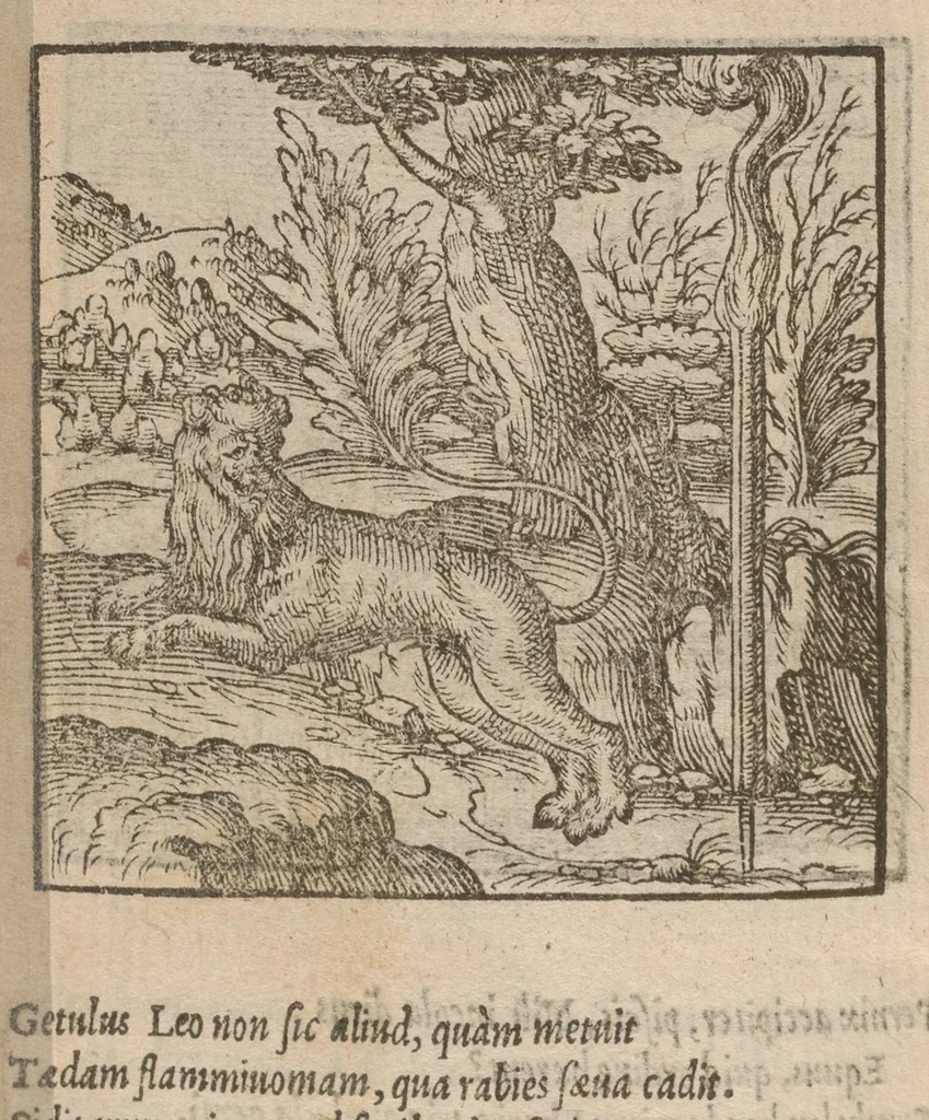 An illustration from Hadriani Iunii medici Emblemata : eiusdem ænigmatum libellus, 1585, leaf 63