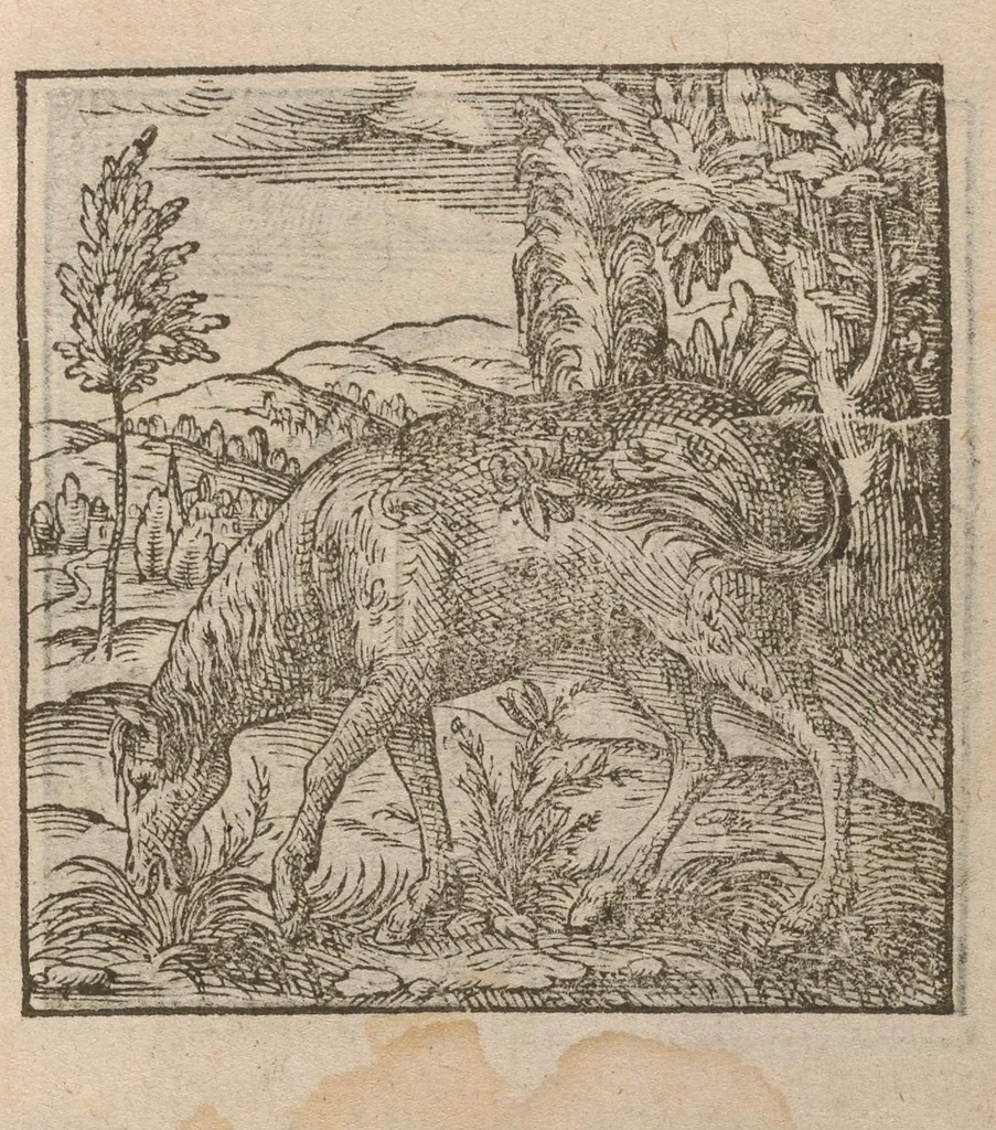 An illustration from Hadriani Iunii medici Emblemata : eiusdem ænigmatum libellus, 1585, leaf 72