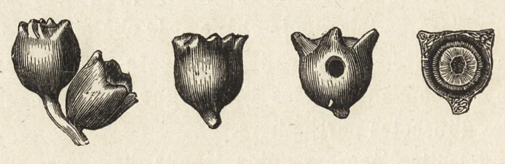 An illustration from L'industrie des matières colorantes, 1902, leaf 339