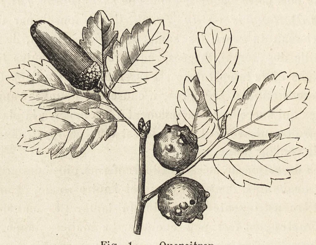 An illustration from L'industrie des matières colorantes, 1902, leaf 35