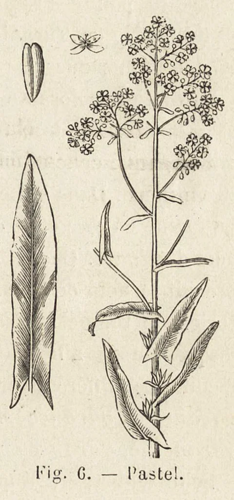 An illustration from L'industrie des matières colorantes, 1902, leaf 56