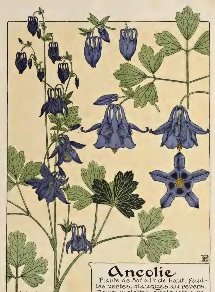 An illustration from Etude de la plante : son application aux industries d'art : pochoir, papier peint, etoffes, céramique, marqueterie, tapis, ferronnerie, reliure, dentelles, broderies, vitrail, mosaïque, bijouterie, bronze, orfévrerie, 1914, leaf 118