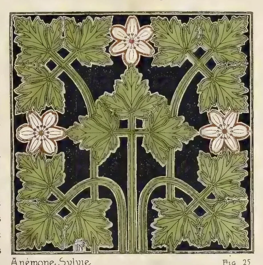 An illustration from Etude de la plante : son application aux industries d'art : pochoir, papier peint, etoffes, céramique, marqueterie, tapis, ferronnerie, reliure, dentelles, broderies, vitrail, mosaïque, bijouterie, bronze, orfévrerie, 1914, leaf 36