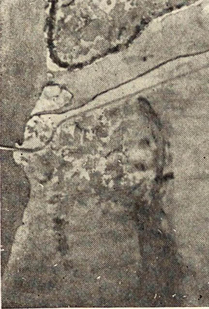 An illustration from Daniel H. Burnham, architect, planner of cities, 1921, leaf 262