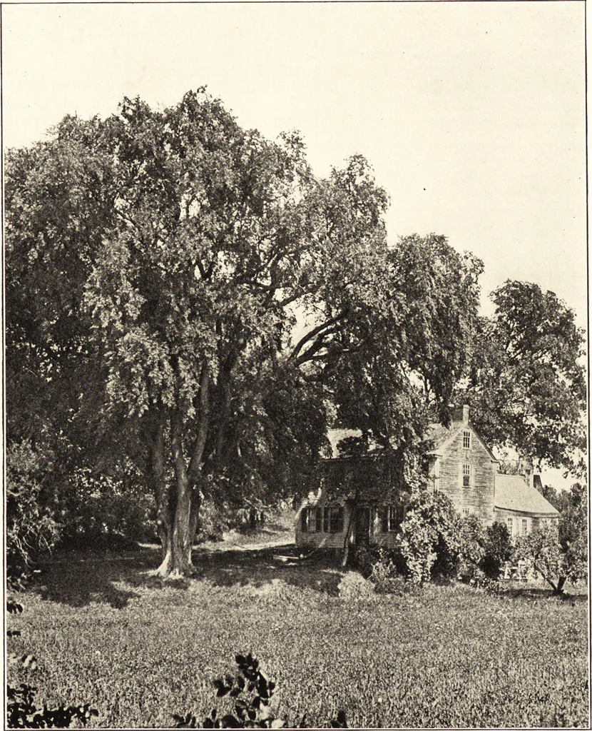 An illustration from Daniel H. Burnham, architect, planner of cities, 1921, leaf 32