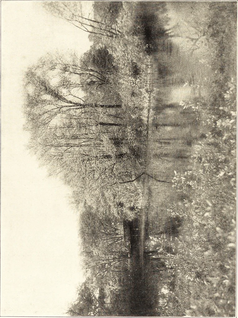 An illustration from Daniel H. Burnham, architect, planner of cities, 1921, leaf 262