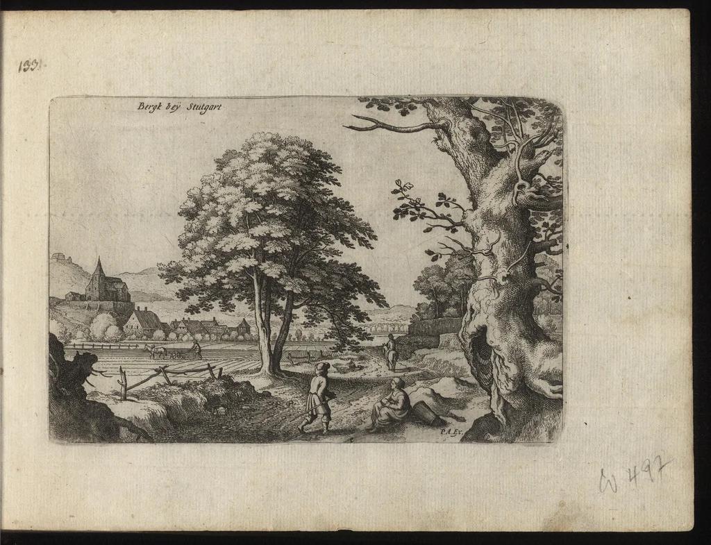 An illustration from Novae regionum aliquot amaenissimarum delineationes, 1625, leaf 268