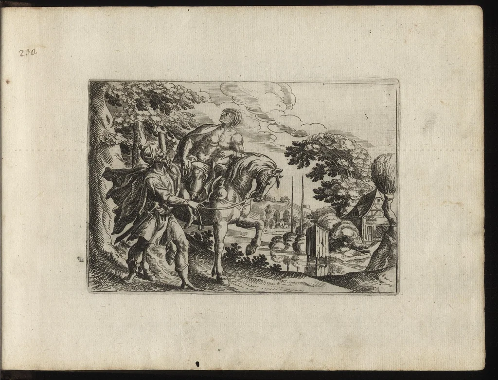 An illustration from Novae regionum aliquot amaenissimarum delineationes, 1625, leaf 462