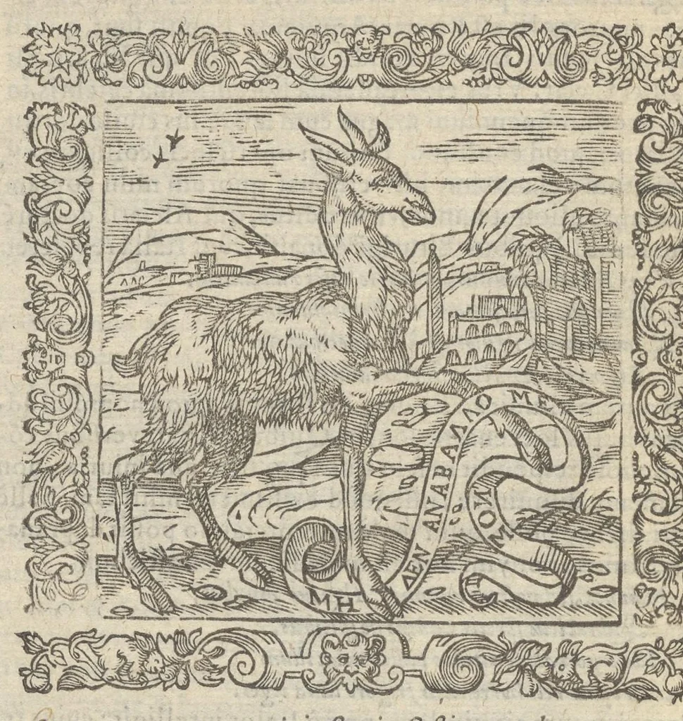 An illustration from Omnia Andreae Alciati v.c. emblemata : cum commentariis, quibus emblematum aperta origine mens auctoris explicatur & obscura omnia dubiáque illustrantur : adiectae ad calcem notae posteriores, 1589, leaf 209