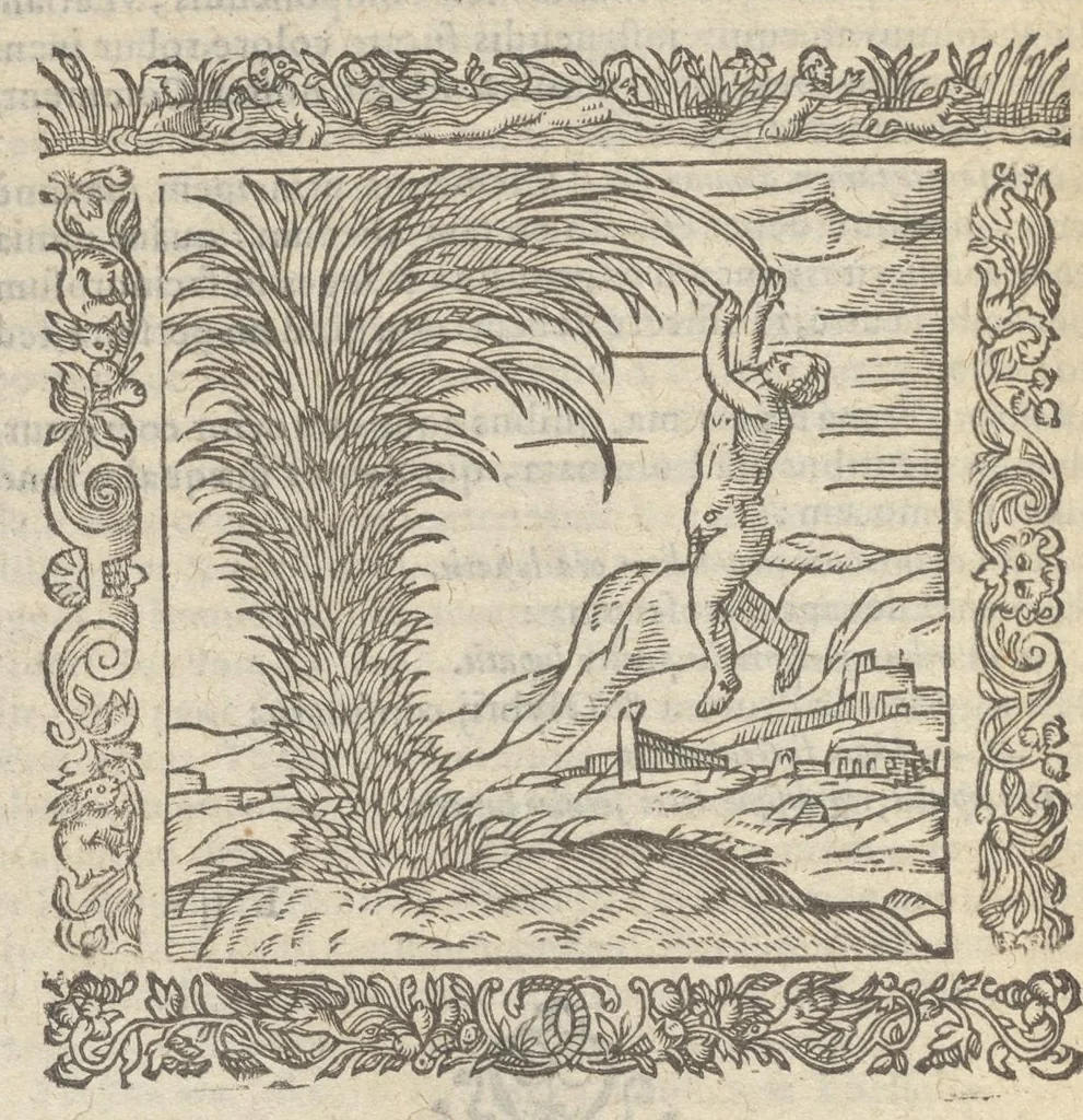 An illustration from Omnia Andreae Alciati v.c. emblemata : cum commentariis, quibus emblematum aperta origine mens auctoris explicatur & obscura omnia dubiáque illustrantur : adiectae ad calcem notae posteriores, 1589, leaf 343