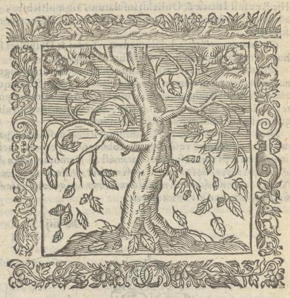 An illustration from Omnia Andreae Alciati v.c. emblemata : cum commentariis, quibus emblematum aperta origine mens auctoris explicatur & obscura omnia dubiáque illustrantur : adiectae ad calcem notae posteriores, 1589, leaf 363
