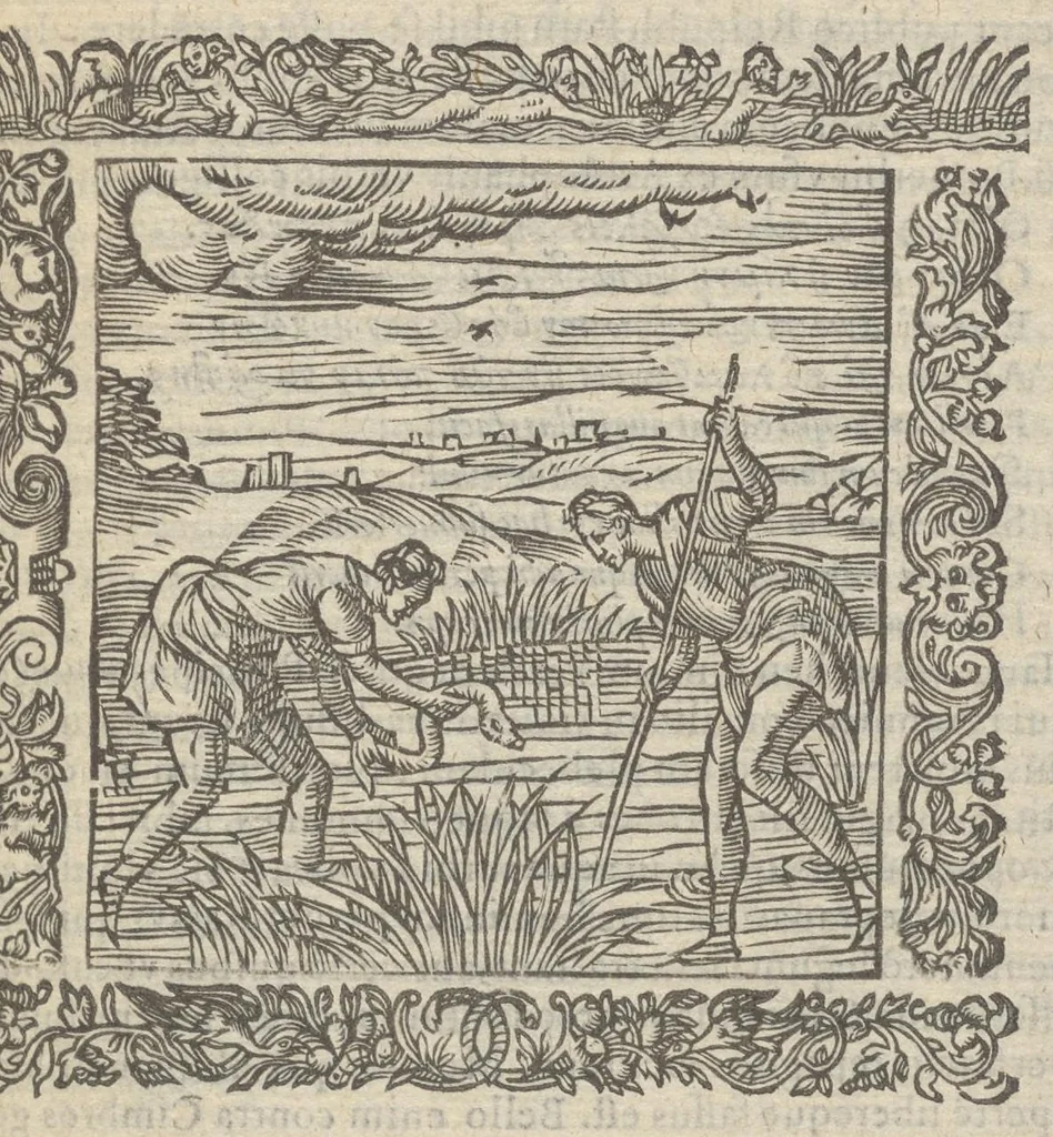 An illustration from Omnia Andreae Alciati v.c. emblemata : cum commentariis, quibus emblematum aperta origine mens auctoris explicatur & obscura omnia dubiáque illustrantur : adiectae ad calcem notae posteriores, 1589, leaf 498