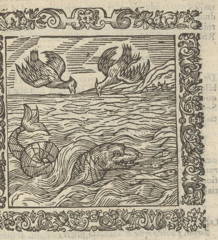 An illustration from Omnia Andreae Alciati v.c. emblemata : cum commentariis, quibus emblematum aperta origine mens auctoris explicatur & obscura omnia dubiáque illustrantur : adiectae ad calcem notae posteriores, 1589, leaf 760