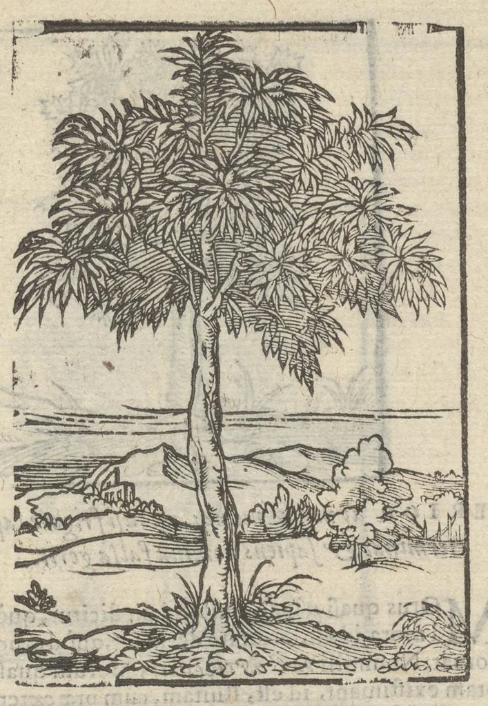 An illustration from Omnia Andreae Alciati v.c. emblemata : cum commentariis, quibus emblematum aperta origine mens auctoris explicatur & obscura omnia dubiáque illustrantur : adiectae ad calcem notae posteriores, 1589, leaf 878
