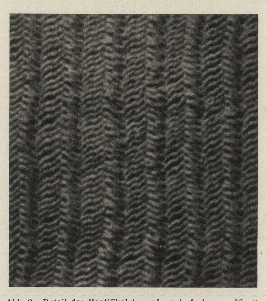 An illustration from Zeitschrift für christliche Kunst .., 1888, leaf 154