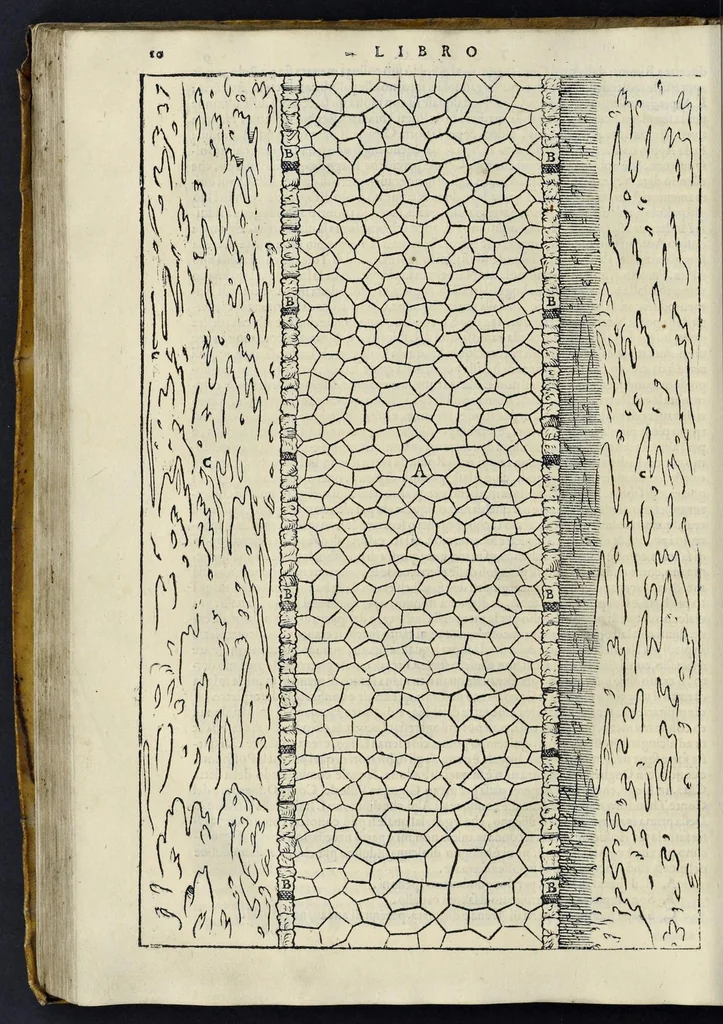 An illustration from I quattro libri dell'architettura di Andrea Palladio : ne' quali, dopo vn breue trattato de' cinque ordini, & di quelli auertimenti, che sono piu necessarij nel fabricare : si tratta delle case priuate, delle vie, dei ponti, delle piazze, dei xisti, et de' tempij, 1581, leaf 161