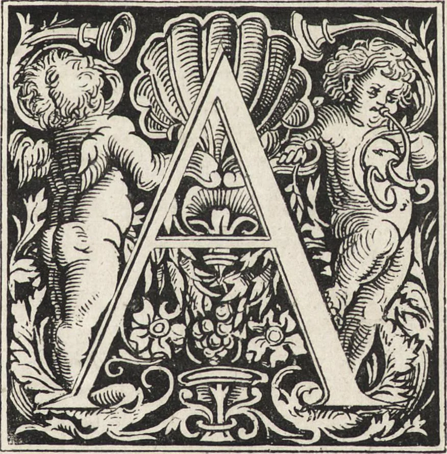 An illustration from Albert Durer à Venise et dans les Pays-Bas : autobiographie, lettres, journal de voyages, papiers divers, 1866, leaf 90