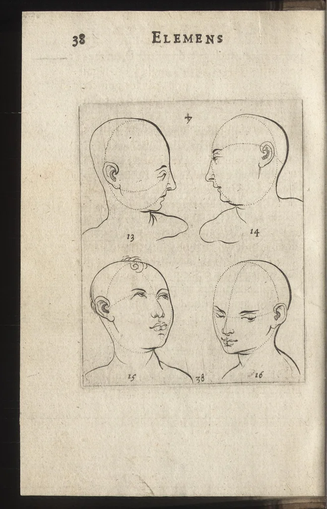 An illustration from Elemens de pourtraiture, ou, La metode de representer et pourtraire toutes les parties du corps humain, 1630, leaf 49