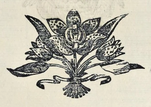 An illustration from Roma svbterranea novissima : in qva post Antonivm Bosivm antesignanvm, Io. Severanvm congreg. oratorii presbytervm, et celebres alios scriptores : antiqva Christianorvm et praecipue martyrun cœmeteria, titvli, monimenta, epitaphia, inscriptiones ac nobiliora sanctorvm sepvlchra, sex libris distincta illustrantvr et qvamplvrimae res ecclesiasticae iconibvs graphice describuntur, ac multiplici tum sacra, tum profana eruditione declarantur : cum duplici indice, capitum & rerum locupletissimo : opera et stvdio, 1651, leaf 264