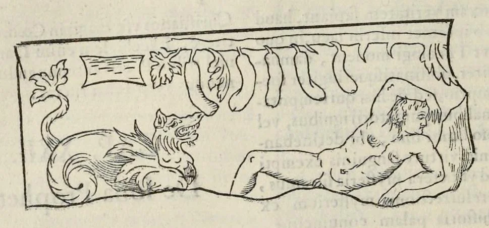 An illustration from Roma svbterranea novissima : in qva post Antonivm Bosivm antesignanvm, Io. Severanvm congreg. oratorii presbytervm, et celebres alios scriptores : antiqva Christianorvm et praecipue martyrun cœmeteria, titvli, monimenta, epitaphia, inscriptiones ac nobiliora sanctorvm sepvlchra, sex libris distincta illustrantvr et qvamplvrimae res ecclesiasticae iconibvs graphice describuntur, ac multiplici tum sacra, tum profana eruditione declarantur : cum duplici indice, capitum & rerum locupletissimo : opera et stvdio, 1651, leaf 547