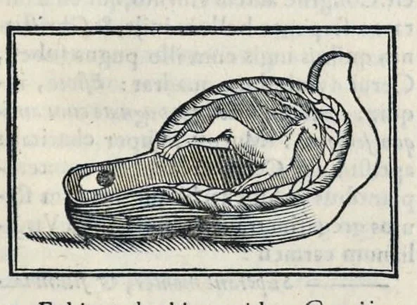 An illustration from Roma svbterranea novissima : in qva post Antonivm Bosivm antesignanvm, Io. Severanvm congreg. oratorii presbytervm, et celebres alios scriptores : antiqva Christianorvm et praecipue martyrun cœmeteria, titvli, monimenta, epitaphia, inscriptiones ac nobiliora sanctorvm sepvlchra, sex libris distincta illustrantvr et qvamplvrimae res ecclesiasticae iconibvs graphice describuntur, ac multiplici tum sacra, tum profana eruditione declarantur : cum duplici indice, capitum & rerum locupletissimo : opera et stvdio, 1651, leaf 644