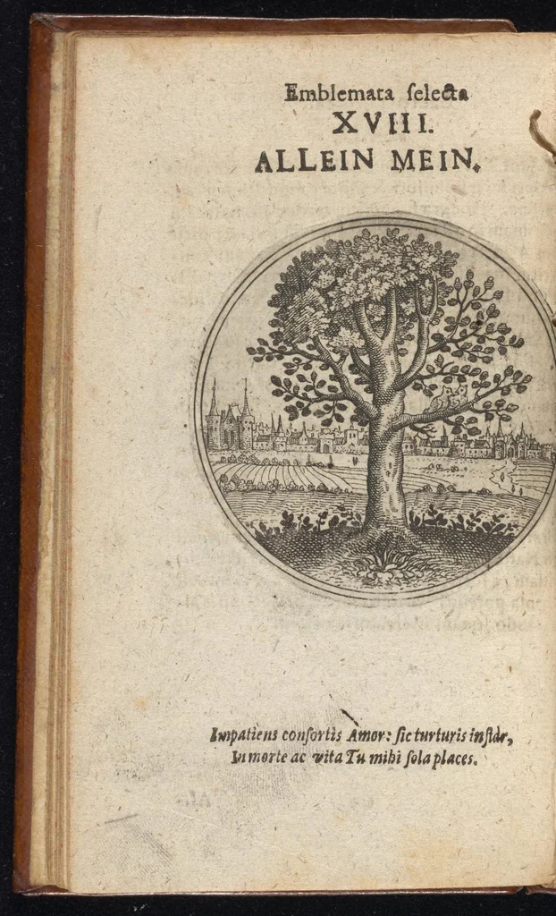 An illustration from Centuria exquisitissimorum symbolorum et emblematum : historiarum sacro-prophanarum moralium & politicarum cultoribus perquam utilis & necessaria : ex eruditissimis prisci & moderni saeculi auctoribus collecta, quae propter illorum praestantiam tanquam continuatio famosi Joachimi Camerarii intitulari potest, 1680, leaf 39