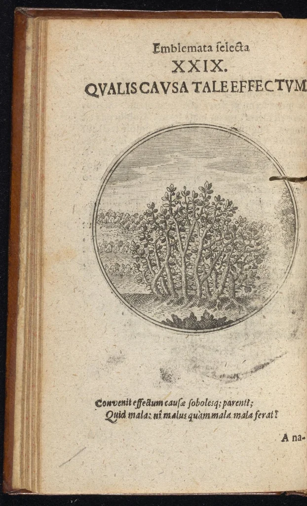 An illustration from Centuria exquisitissimorum symbolorum et emblematum : historiarum sacro-prophanarum moralium & politicarum cultoribus perquam utilis & necessaria : ex eruditissimis prisci & moderni saeculi auctoribus collecta, quae propter illorum praestantiam tanquam continuatio famosi Joachimi Camerarii intitulari potest, 1680, leaf 61