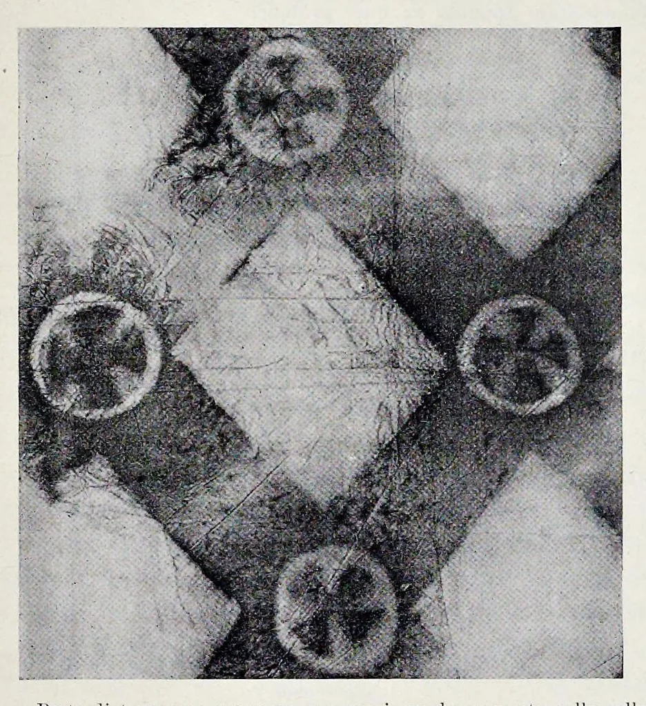 An illustration from Nuovo bullettino di archeologia cristiana, 1895, leaf 594